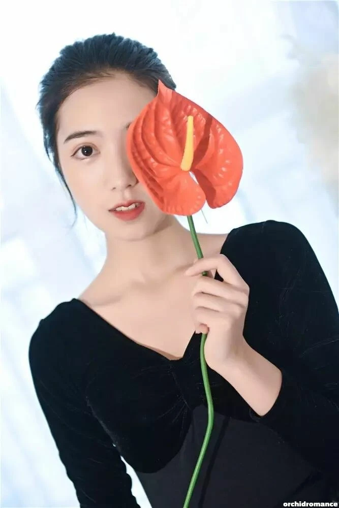 Meihua Profile image 4